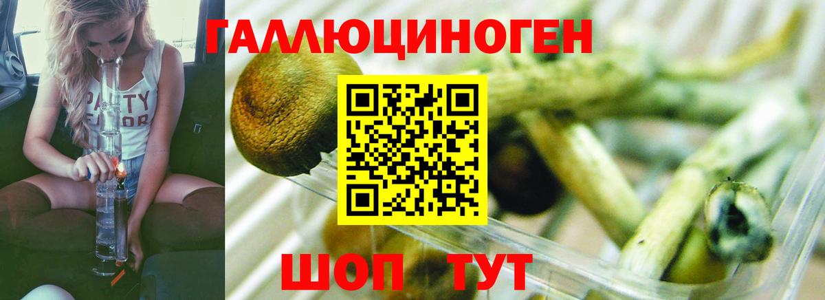 Галлюциногенные грибы ЛСД Михайловск